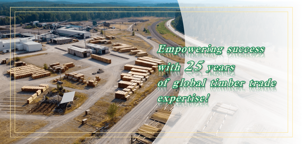 Empowering success with 25years of global timber trade expertise！